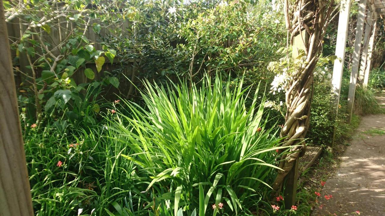 אוקלנד Shelly Beach Studio, Waiheke Island מראה חיצוני תמונה